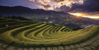 Asien Vietnam Asian Trails Sapa - Ricefields_1920