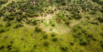 Afrika Tansania Tarangire Sanctuary Swala Camp SR002128_1920