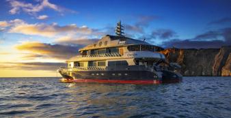 Haugan Cruises MT Camila MT Camila._1920