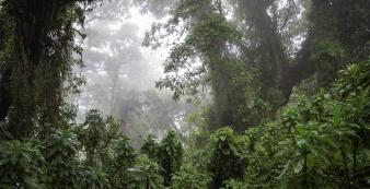 Afrika Ruanda Bisate-Lodge Rwanda-349_1920