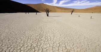 Namibia Sossusvlei Little Kulala Sossusvlei307