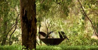 Australien_NZ_Polynesien Australien Western Australia Margaret River Cape Lodge