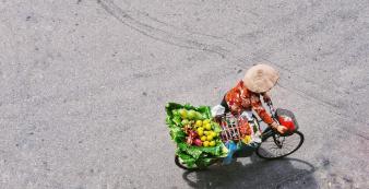 Asien Vietnam Asian Trails Hanoi - Fruit Sales woman_1920