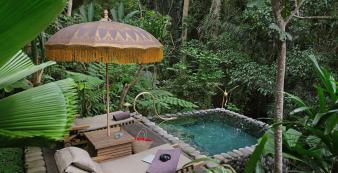 Asien Indonesien Bali Capella Ubud ubud-accommodation-rainforestent-saltwaterpoo