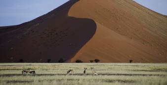 Namibia Sossusvlei Little Kulala Sossusvlei081