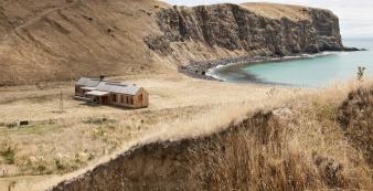 Australien_NZ_Polynesien Neuseeland Südinsel Christchurch Annandale HR Scrubby B