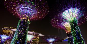 Asien Singapur Singapore - Gardens by the Bay (1)_1920