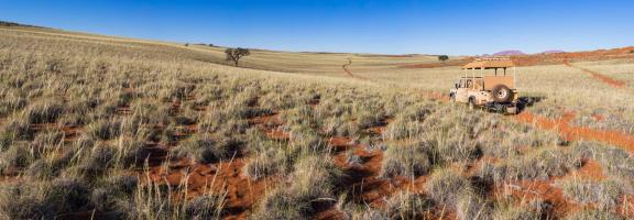 Landschaft Wolwedans Namibia