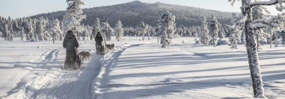 Europa Schweden Kiruna Fjellborg Arctic Lodge