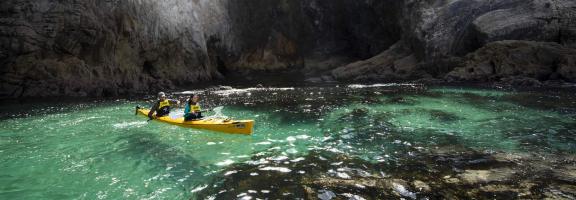 Australien_NZ_Polynesien Neuseeland New Zealand Tourism Coromandel