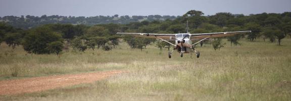 Afrika Tansania Serengeti North Kleins_Camp