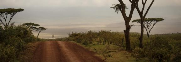 Afrika Tansania Ngorongoro The Highlands