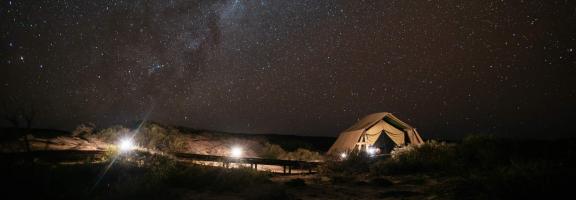 Australien_NZ_Polynesien Australien Western Australia Ningaloo Coast Sal Salis