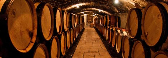 Langhe und Comer See eric-cook-D9WH_vlxicA-unsplash