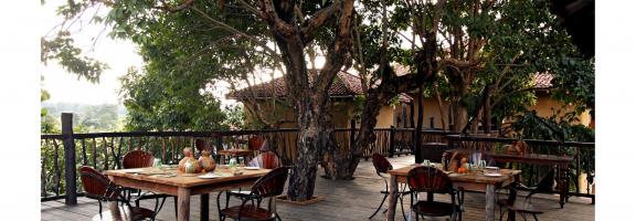 Indien Samode Safari Lodge