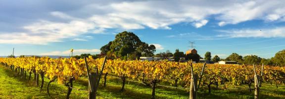 Australien Shutterstock