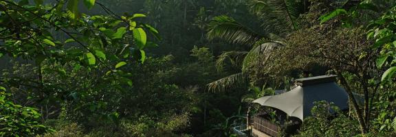 Asien Indonesien Bali Capella Ubud