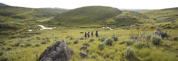 Afrika Tansania Ngorongoro The Highlands