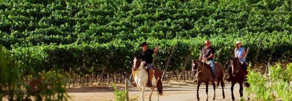 Chile Clos Apalta
