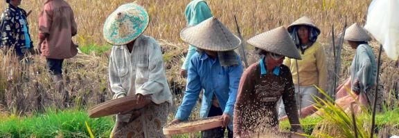 Asien Indonesien