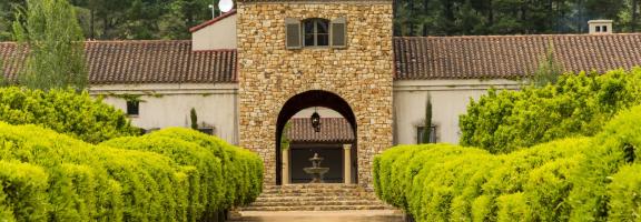 Afrika Südafrika Weingut Stellenbosch