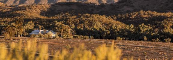 Australien_NZ_Polynesien Australien South Australia Flinders Ranges Arkaba