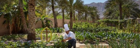 Afrika Oman SixSenses-Zighy-Bay