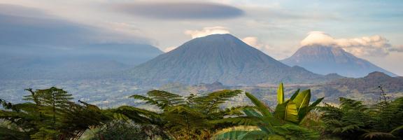 Afrika Ruanda Volcanoes National Park Sabinyo Silverback Lodge