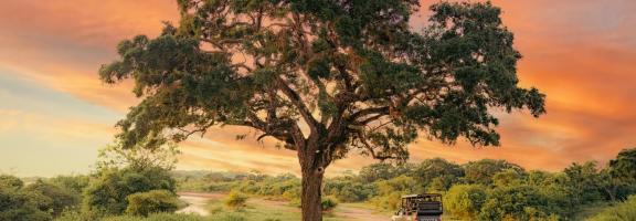 Sri Lanka Wild Coast Tented Lodge