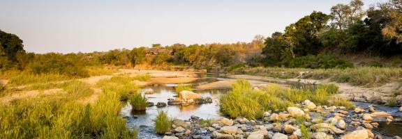 Afrika Südafrika Safari Lodges Singita Ebony