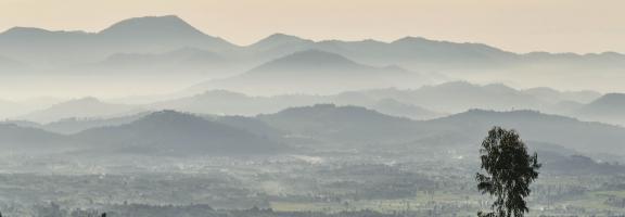 One&Only Gorillas Nest OO_GorillasNest_Flora_Fauna_Sunrise_Mountains_2622_MASTER