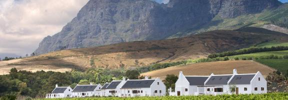 Afrika Südafrika Winelands Babylonstoren