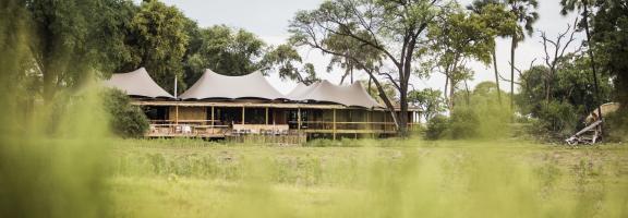 Botswana Okavango Mombo Mombo-CrookesAndJackson-031