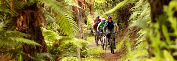 Australien_NZ_Polynesien Neuseeland Nordinsel Rotorua Treetops Lodge & Estate