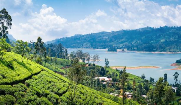 Sri Lanka Uga Hallowella