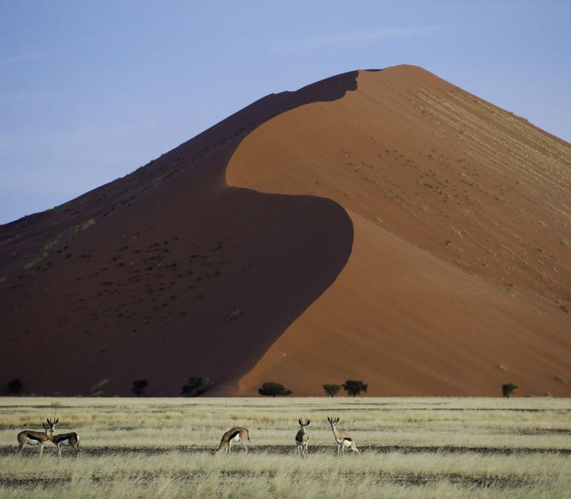 Namibia Sossusvlei Little Kulala Sossusvlei081