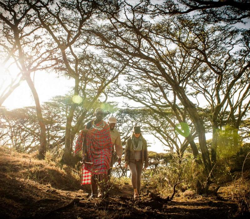 Afrika Tansania Ngorongoro Entamanu Ngorongoro EntamanuNgorongoro16_1920