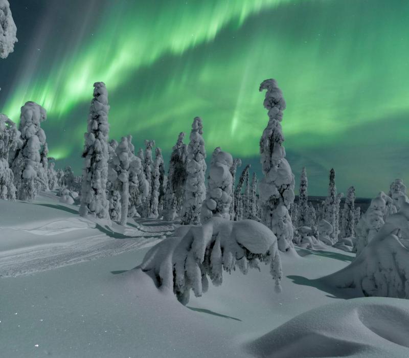 Europa Finnland Business Finland Winter Revontulet tykkymaisemassa_ThomasKast_19