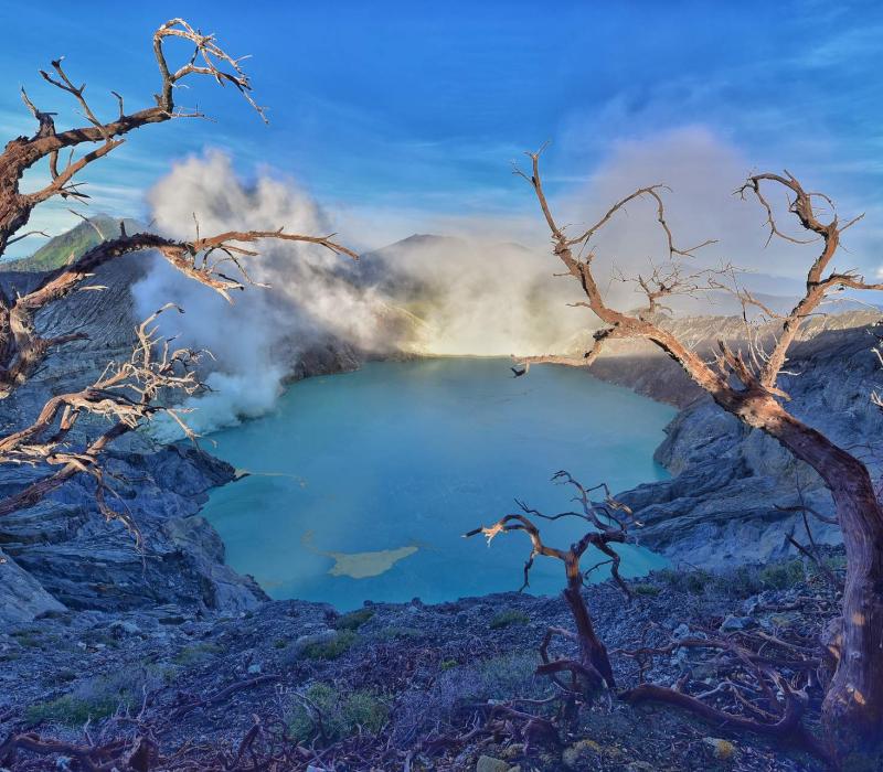 Indonesien shutterstock Asien_Indonesien_Ijen_MountIjen_Crater_Trees_shutterstoc