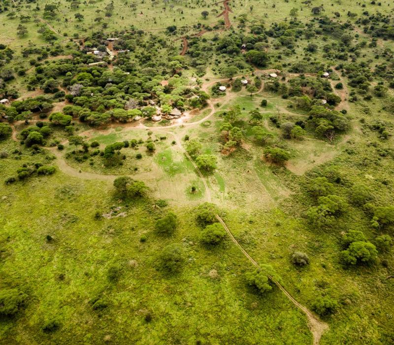 Afrika Tansania Tarangire Sanctuary Swala Camp SR002128_1920