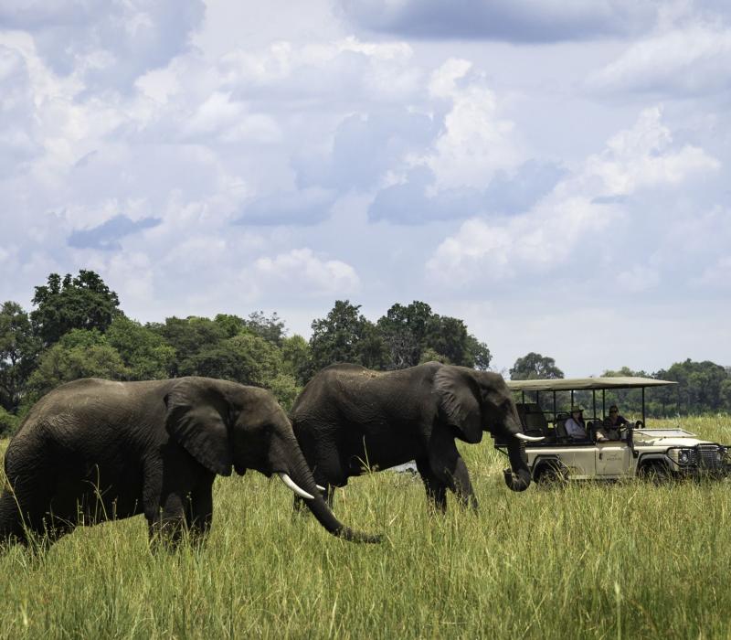 Botswana Linyanti Kings-Pool-Camp Kings_Pool_2015-03-87